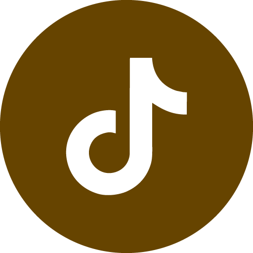 TikTok icon